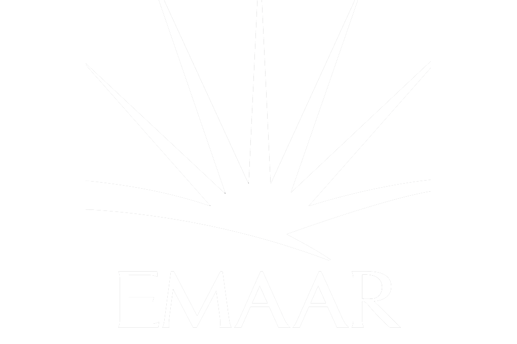 Read more about the article Emaar